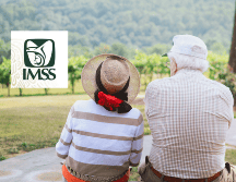 La Ley 73 del IMSS protege a los trabajadores que comenzaron a cotizar antes del 1 de julio de 1997. UNSPLASH/ C. Bowen