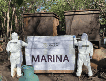 La acción fue encabezada por elementos de la Secretaría de Marina en coordinación con la Fiscalía General de la República, la Secretaría de la Defensa Nacional, la Guardia Nacional y la SSPC. X / @SEMAR_mx