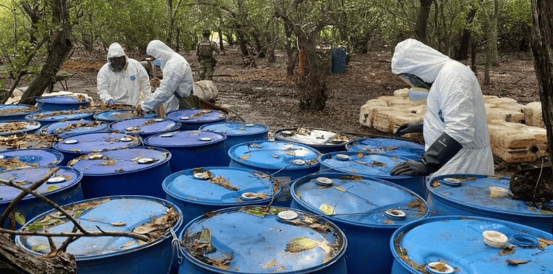 Con el operativo se evitó la producción de 320 millones de dosis de droga. X / @SEMAR_mx 