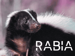 La joven se encuentra hospitalizada en terapia intensiva y su estado de salud es grave.  ESPECIAL / CANVA