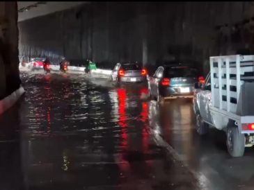 En Guadalajara se reportaron 8 vehículos varados por las inundaciones al igual que 12 árboles caídos. ESPECIAL / POLICÍA VIAL