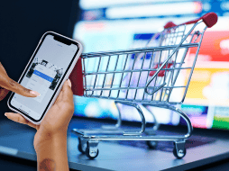 En verano se registra una intensa actividad en categorías como moda (88% de penetración) y mascotas (63%), además de artículos para el hogar, calzado y electrónicos. ESPECIAL / CANVA