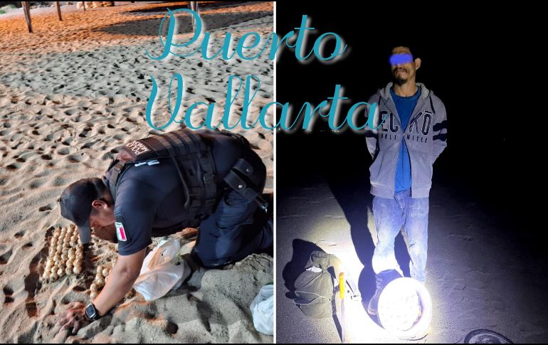 Este fin de semana se detuvo a un sujeto que fue sorprendido robando huevos de tortuga. ESPECIAL / FACEBOOK Comisaría de Seguridad Pública de Puerto Vallarta