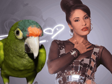 El video del ave el “Aguacate el Loro”, ya cuenta con más de 81 mil me gusta y más de 23 mil compartidos. ESPECIAL/ AP/ ARCHIVO/ Unsplash