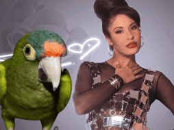 El video del ave el “Aguacate el Loro”, ya cuenta con más de 81 mil me gusta y más de 23 mil compartidos. ESPECIAL/ AP/ ARCHIVO/ Unsplash