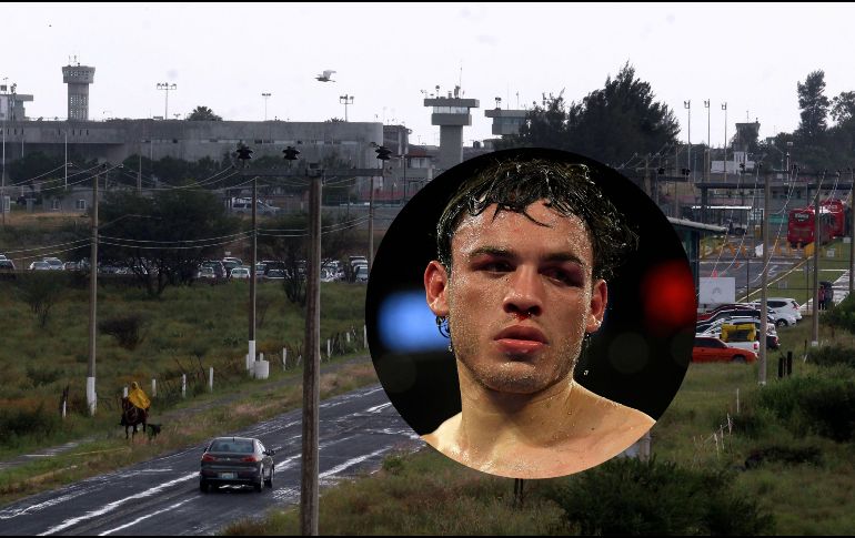 Este martes, la Presidenta Claudia Sheinbaum, confirmó la deportación de Julio César Chávez Jr.: 