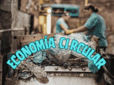 El paso de la economía del modelo lineal al modelo circular condiciona cómo la gente usa las cosas. ESPECIAL / CANVA