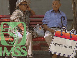 Toda la información debe coincidir con la registrada en el sistema del IMSS, ya que cualquier error podría impedir que se apruebe el trámite de la pensión. EL INFORMADOR / ARCHIVO