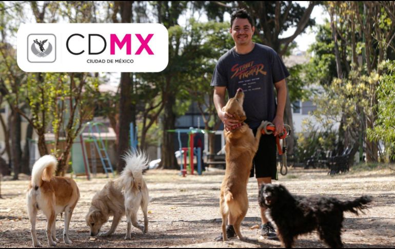 El Gobierno capitalino se convierte en el primer estado de México en reconocer el valor y cuidado que representan las mascotas dentro del hogar.  EL INFORMADOR/ARCHIVO/ESPECIAL