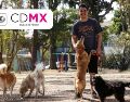 El Gobierno capitalino se convierte en el primer estado de México en reconocer el valor y cuidado que representan las mascotas dentro del hogar.  EL INFORMADOR/ARCHIVO/ESPECIAL