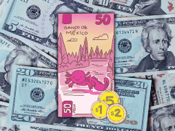 Es importante recordar que la cotización del dólar se actualiza a lo largo del día, por lo que es necesario revisarla constantemente si se requiere para alguna ejecución financiera. ESPECIAL / CANVA