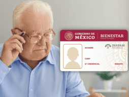 El Programa de Vinculación Productiva del Inapam ofrece sueldo base, estabilidad laboral y prestaciones de ley. ESPECIAL