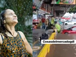 La prevención, la información y el autocuidado son claves para evitar problemas de salud durante estos meses. X/@MVZ_Jluis