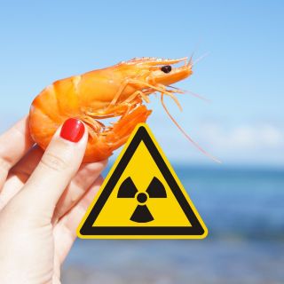 EU desaconseja consumir camarón congelado de Indonesia, ¿por radioactivo?