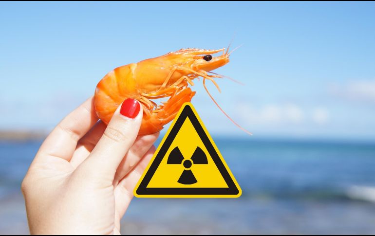 La FDA recomendó a los ciudadanos no comer camarones congelados de esa marca por una posible contaminación con Cesio-137, un isótopo radioactivo. ESPECIAL / CANVA
