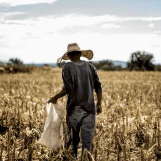 Aumento del calor afecta "gravemente" la salud de los trabajadores: ONU