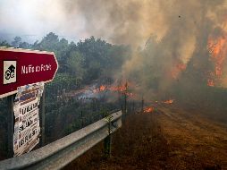 Los grandes incendios han afectado especialmente a toda la mitad oeste de España, sobre todo a las regiones de Galicia, Castilla y León y Extremadura. AFP
