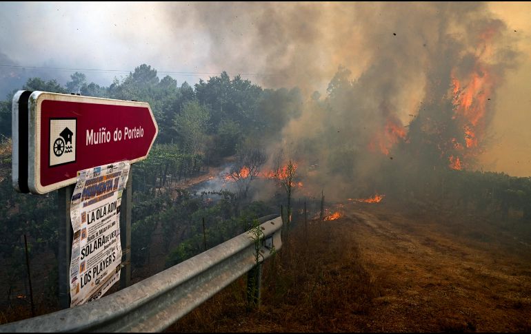 Los grandes incendios han afectado especialmente a toda la mitad oeste de España, sobre todo a las regiones de Galicia, Castilla y León y Extremadura. AFP