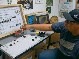 La observación de insectos necrófagos permite estimar tiempo y condiciones de inhumaciones clandestinas. EL INFORMDOR/X. Torres