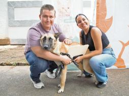 Nueva familia. Perros rescatados encontraron un nuevo hogar gracias a la Feria de Adopción “Amigos de Guafdalajara”. ESPECIAL