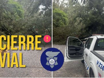 Los tres carriles de sur a norte de avenida Patria se encuentran cerrados por la caída de un árbol. ESPECIAL / FACEBOOK Policía Vial Jalisco