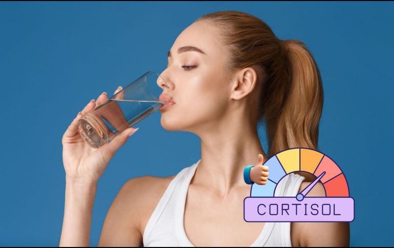 La ciencia confirma que no beber suficiente agua puede elevar los niveles de cortisol, incrementando el estrés y afectando la calidad de vida. CANVA