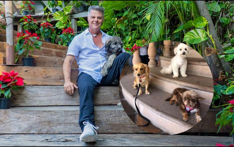 En años recientes han crecido las opciones gastronómicas que incluyen dentro de su oferta la opción de asistir con perritos. ESPECIAL