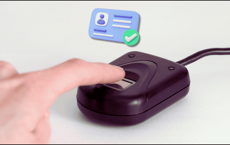 La CURP biométrica solo podrá ser descargado por el titular y contará con medidas de seguridad, entre las que se encuentran un código QR y marcas de agua. ESPECIAL / CANVA