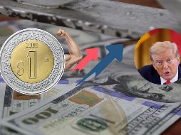 Peso mexicano muestra progreso frente al dólar estadounidense; Trump y la Fed, parte de  los involucrados. EL INFORMADOR / ARCHIVO
