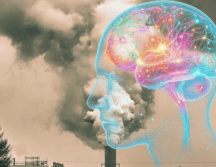 La exposición prolongada a contaminantes atmosféricos puede ralentizar el procesamiento mental, deteriorar la memoria y provocar cambios en la estructura del cerebro en la vejez. ESPECIAL