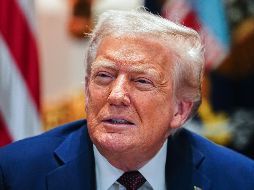 La propuesta de Trump forma parte de su estrategia para combatir lo que considera una criminalidad desbordada en la capital. EFE/A. SCHWARTZ