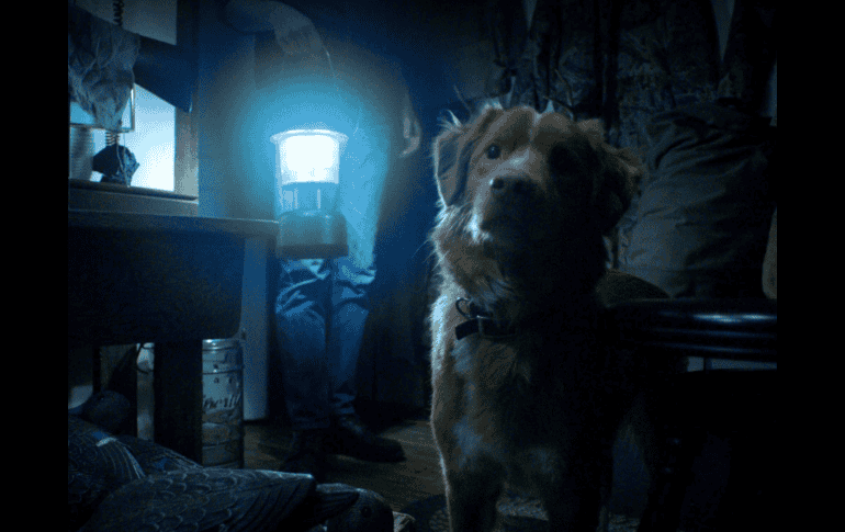 “Good Boy” es la historia de Indy, un perro que ve amenazada su tranquila vida junto con su familia cuando algo extraño y oscuro aparece en su casa. ESPECIAL / Good Boy / IMDb
