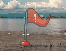 Según notificó en tiempo real Protección Civil y Bomberos Puerto Vallarta, la Playa De Oro es la playa más peligrosa de momento. EL INFORMADOR / ARCHIVO