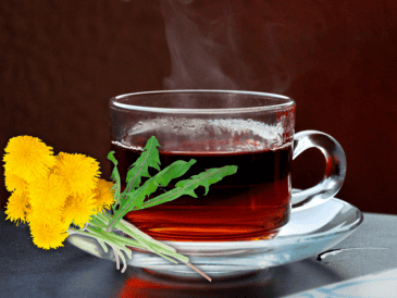 El diente de león ayuda a reducir la retención de líquidos y estimular el funcionamiento de la vesícula biliar y el hígado. ESPECIAL / CANVA