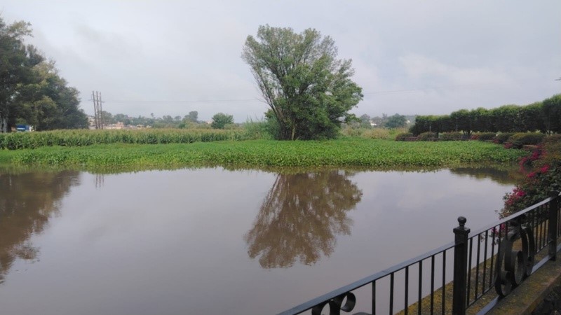  EL INFORMADOR / M. Hernández