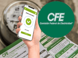 Pagar por el servicio de electricidad en tiempo y forma es fundamental para evitar la suspensión del servicio y la generación de recargos por mora. EL INFORMADOR/ARCHIVO ESPECIAL/CFE