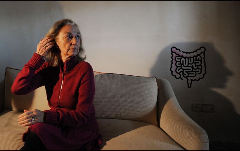 Esta es la relación entre el aparato digestivo y el cerebro. AFP / ARCHIVO