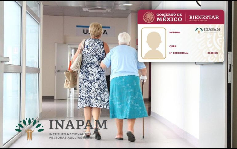 La tarjeta Inapam es una identificación oficial que abre las puertas a descuentos exclusivos, apoyos sociales y programas especiales para adultos mayores. Pixabay/ESPECIAL