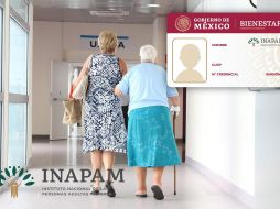 La tarjeta Inapam es una identificación oficial que abre las puertas a descuentos exclusivos, apoyos sociales y programas especiales para adultos mayores. Pixabay/ESPECIAL