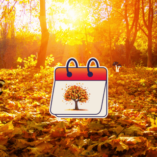 Equinoccio de Otoño: fecha y hora exacta en la que el verano se despide de México