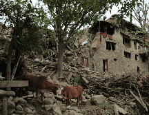 Afganistán sufre un nuevo sismo tras miles de decesos por el fenómeno del pasado domingo. EFE/EPA/SAMIULLAH POPAL
