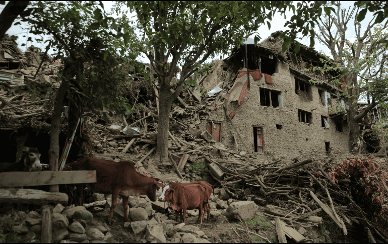 Afganistán sufre un nuevo sismo tras miles de decesos por el fenómeno del pasado domingo. EFE/EPA/SAMIULLAH POPAL