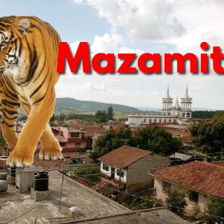 Tigre sorprende por la espalda a una veterinaria en Mazamitla | VIDEO