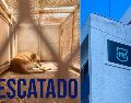 La Unidad de Crueldad Animal, de la Unidad de Investigación Especializada en Delitos Varios, atendió a un canino que estaba herido en calles de la colonia. ESPECIAL / Fiscalía del Estado / EL INFORMADOR / ARCHIVO