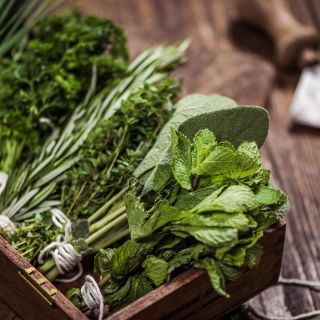 Plantas ideales para que tu cocina siempre huela rico