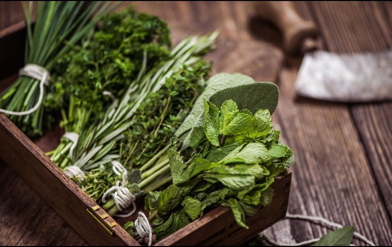 Las plantas aromáticas no solo mejoran el sabor de los alimentos, también convierten la cocina en un lugar lleno de vida, color y frescura. ESPECIAL / CANVA