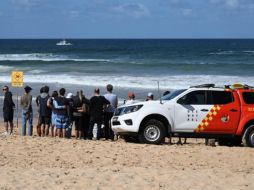 Los escualos -especialmente el gran tiburón blanco- al igual que los cocodrilos, son dos temidos animales de Australia conocidos por sus esporádicos ataques a humanos. EFE/EPA/Dean Lewins Australia and New Zealand Out