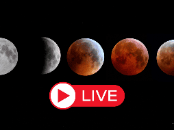 ¿Cómo ver la Luna de sangre en vivo si no es visible en tu país? ESPECIAL / CANVA