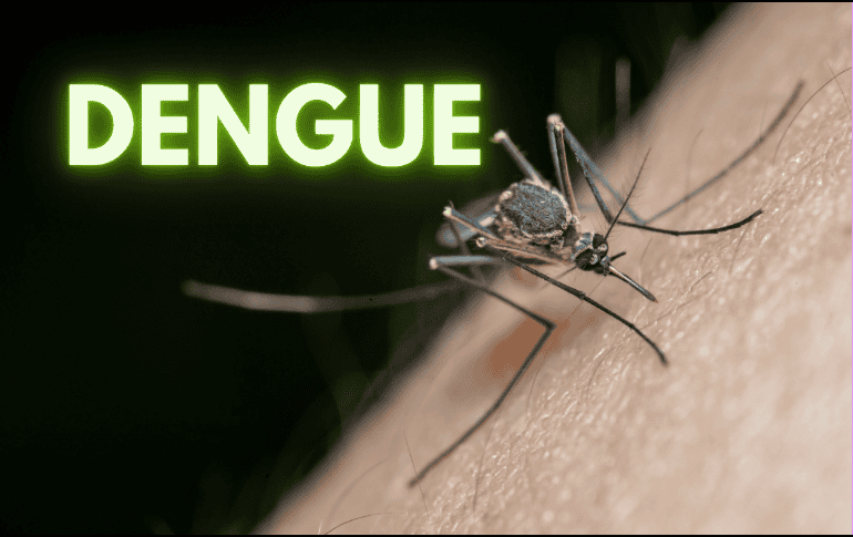 Desde enero se han puesto en marcha brigadas en el Área Metropolitana de Guadalajara (AMG) y otros municipios del estado para controlar la propagación del dengue. ESPECIAL