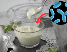 Descubre qué son los probióticos y sus beneficios. UNSPLASH / S. CERVERA / CDC